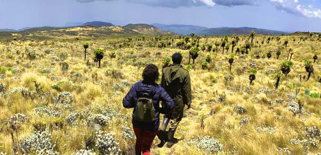 Some of the guests on the 7 Day Trek on Sasa Trail through Mount Elgon National Park