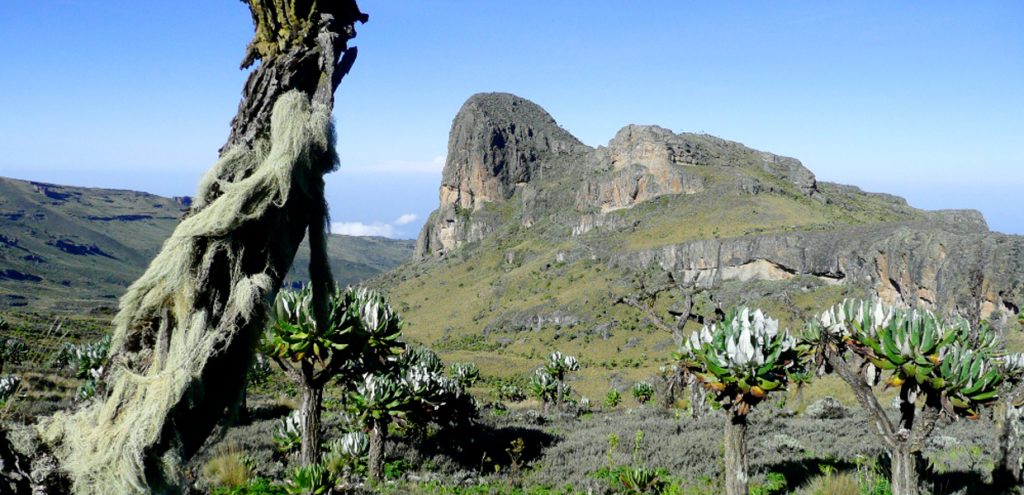 A closer view at one of the peaks on Mount Elgon