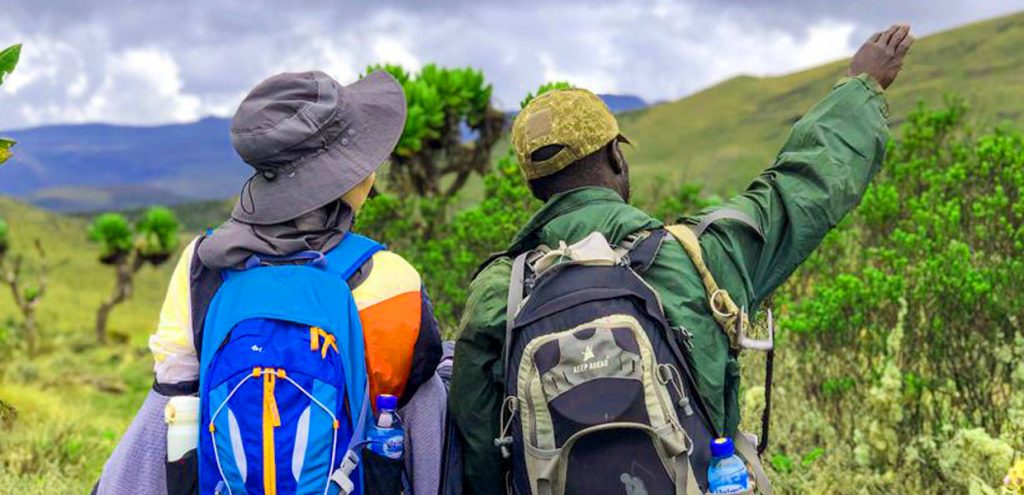 A ranger directing one of the hikers on Mount Elgon as part of the 4 days hiking to Wagagai Peak in Uganda. 