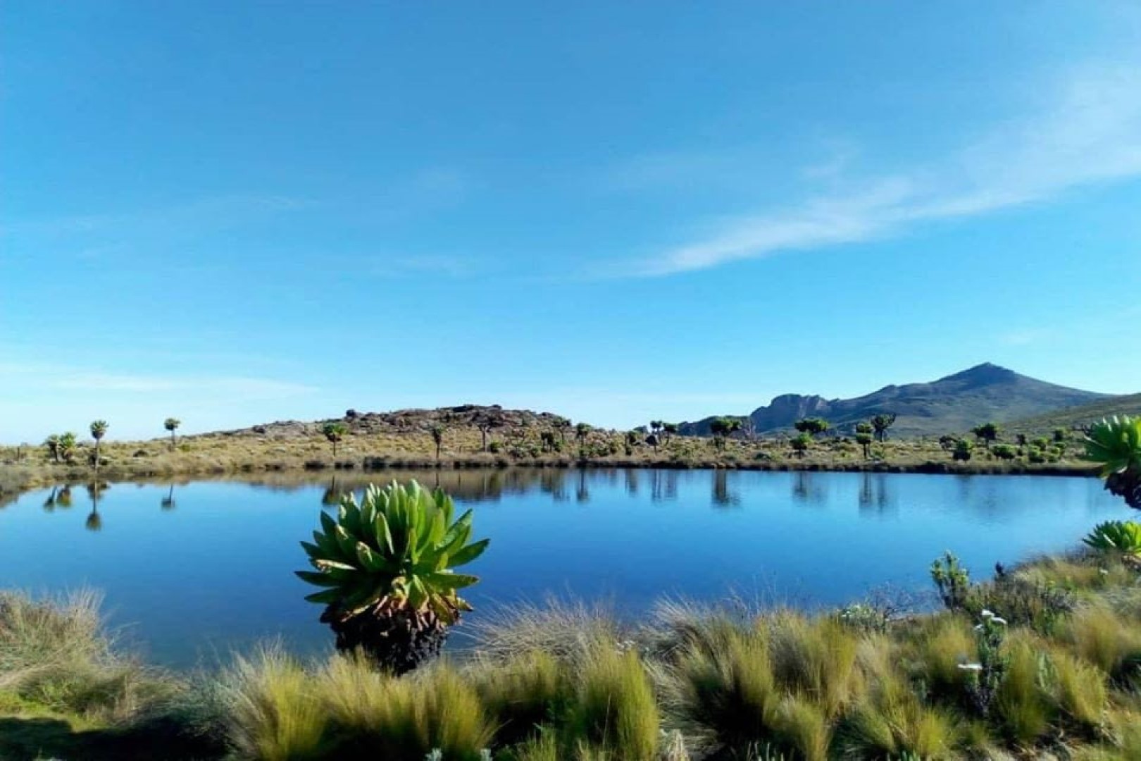 The Caldera Pool at Mount Elgon