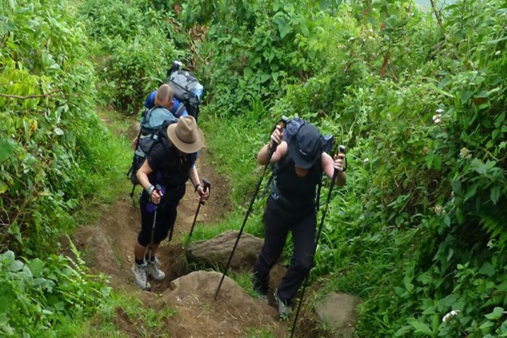 Hiking Mount Elgon, in Mount Elgon National Park