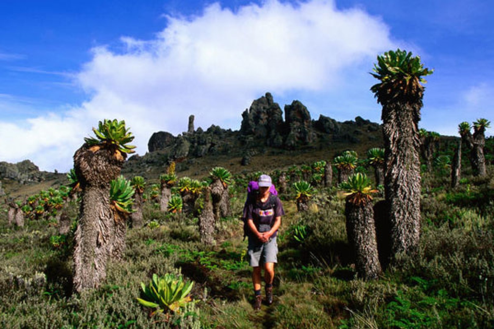 Hiking Mount Elgon