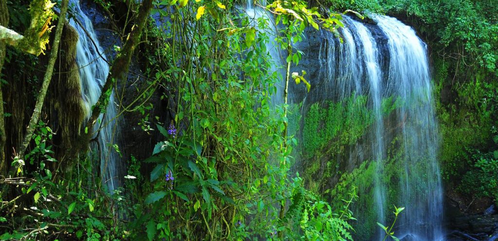 Chebonet Falls on Mount Elgon. Credit: Uganda Wildlife Authority