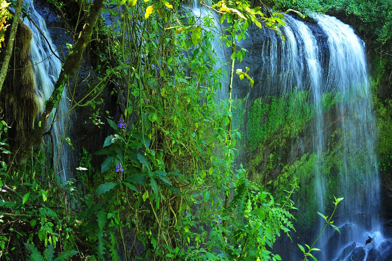 Chebonet Falls on Mount Elgon. Credit: Uganda Wildlife Authority