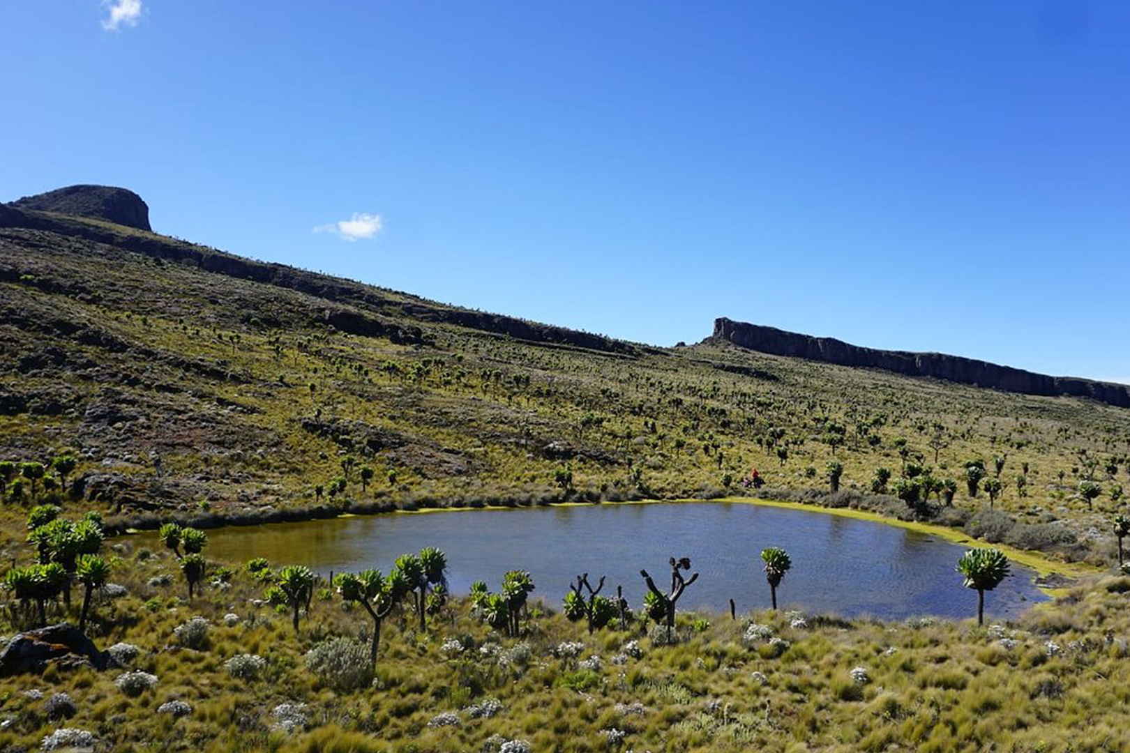 Jackson's Pool on Mount Elgon. Credit: Uganda Wildlife Authority