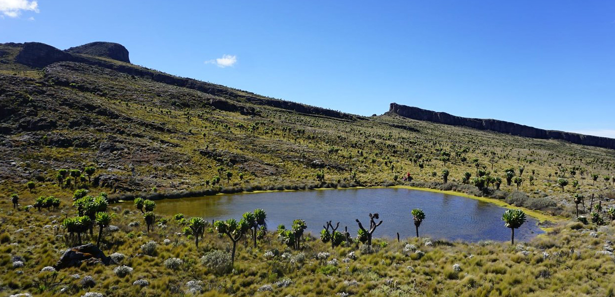 Jackson's Pool On Mount Elgon. Credit: Uganda Wildlife Authority