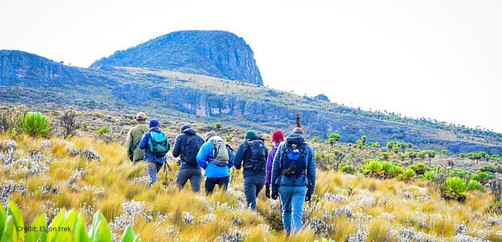 Guests hiking to Wagagai Peak, as part of the 3 day trek to Wagagai via Sasa Trail.