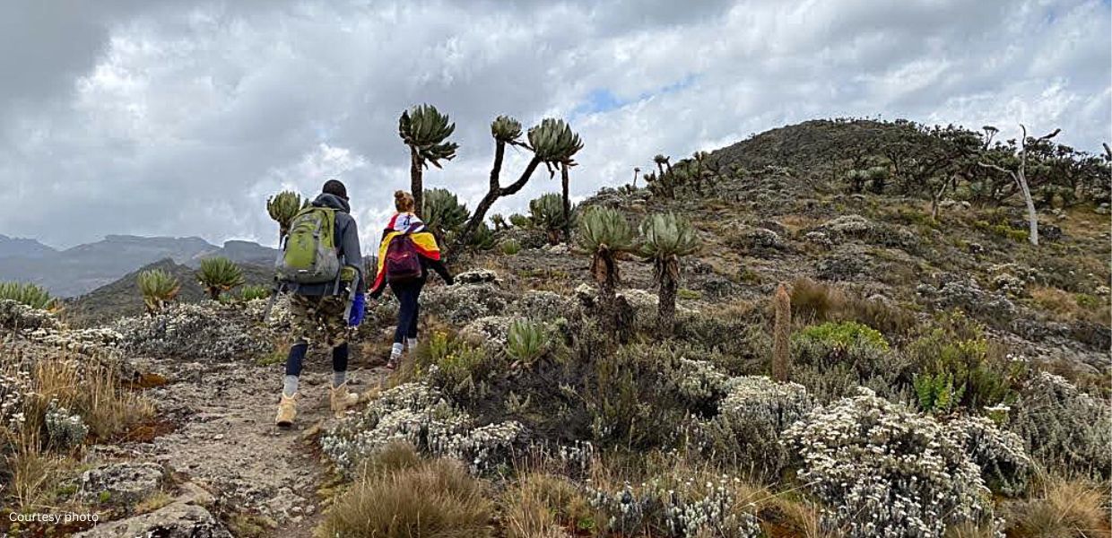 Guests hiking Mt. Elgon via the Sasa-Sipi trail, part of the 2 Days Trek Sasa Trail