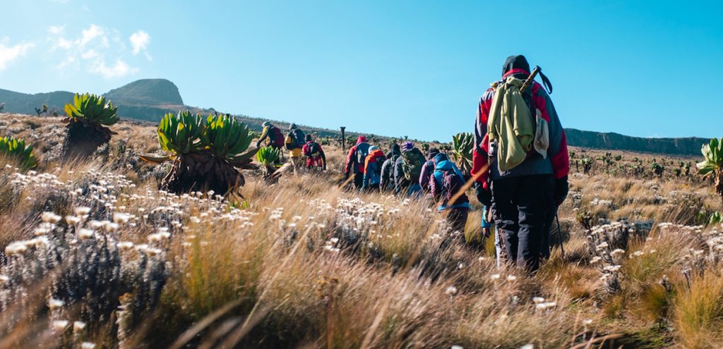 Some of the guests hiking the Masaba summit